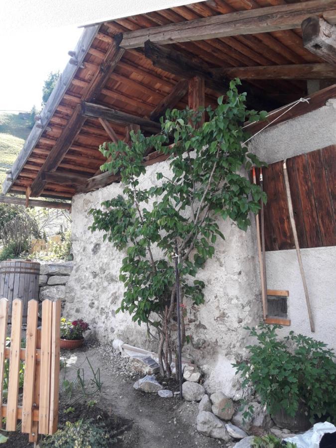 Hofstatthof Villa Campo di Trens Dış mekan fotoğraf