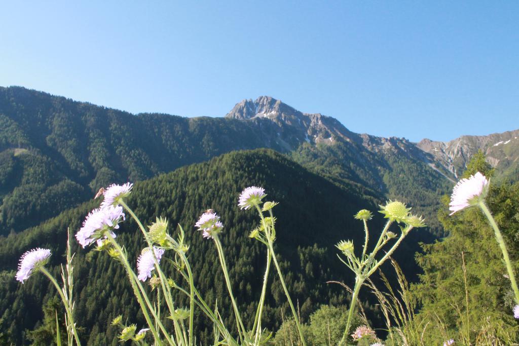 Hofstatthof Villa Campo di Trens Dış mekan fotoğraf