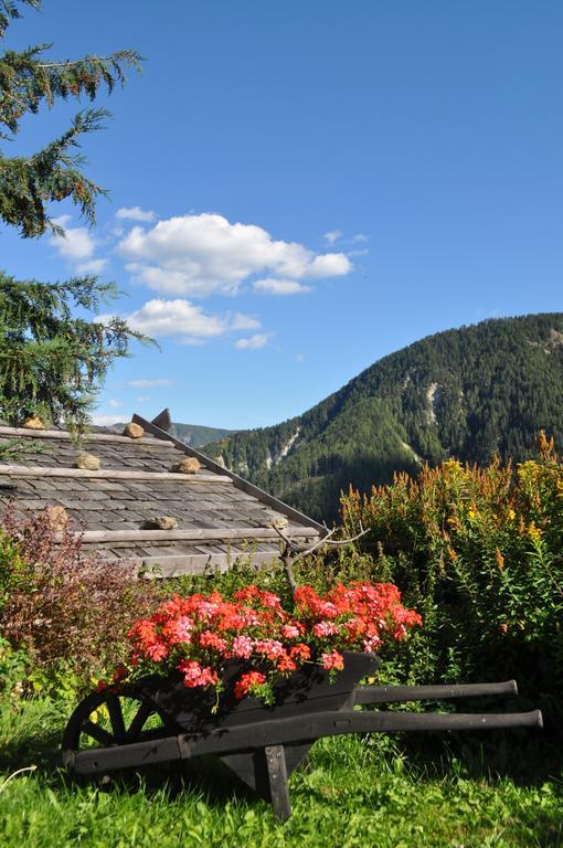Hofstatthof Villa Campo di Trens Dış mekan fotoğraf