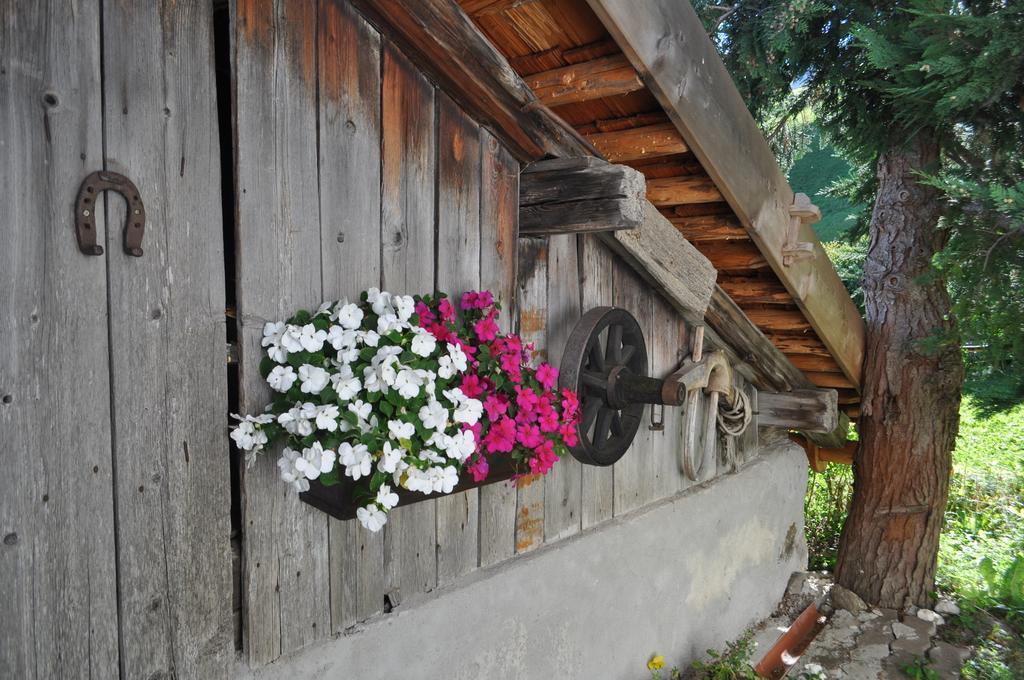 Hofstatthof Villa Campo di Trens Dış mekan fotoğraf